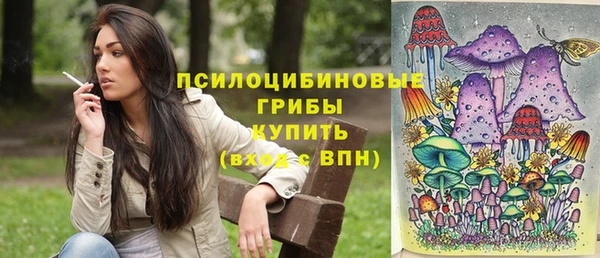 МДПВ Алзамай